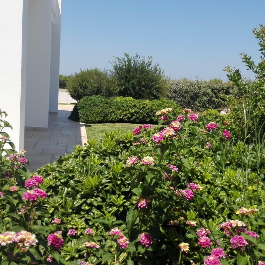 Villa Maria Carovigno Exterior photo