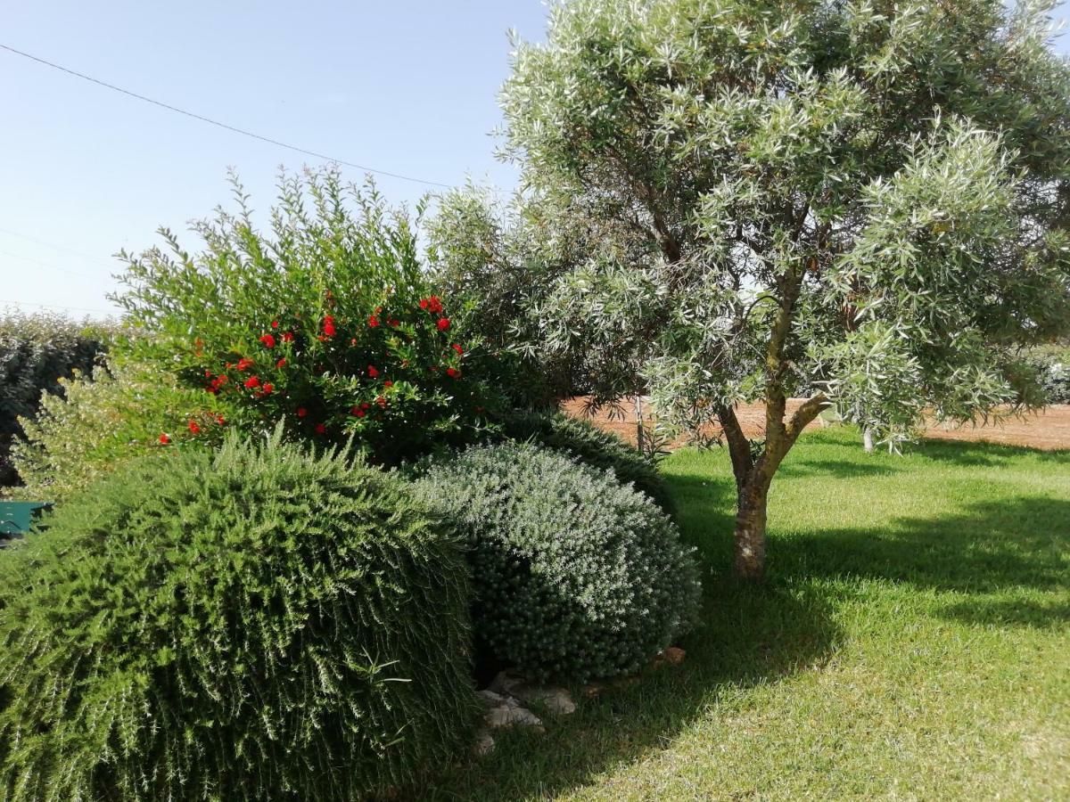 Villa Maria Carovigno Exterior photo